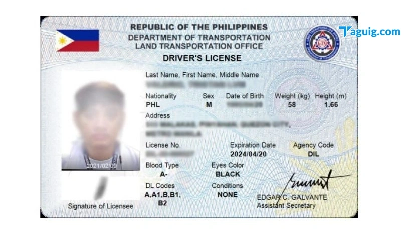 Plastic Card Driver s Licenses Once Again Available Taguig News